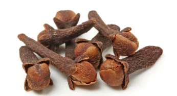 “Cloves: Aromatic Spice with Health Benefits”