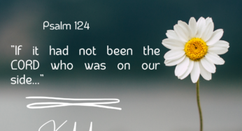 Embracing the Power of Testimony